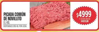 PICADA COMÚN DE NOVILLITO