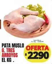 Tres Arroyos - PATA MUSLO