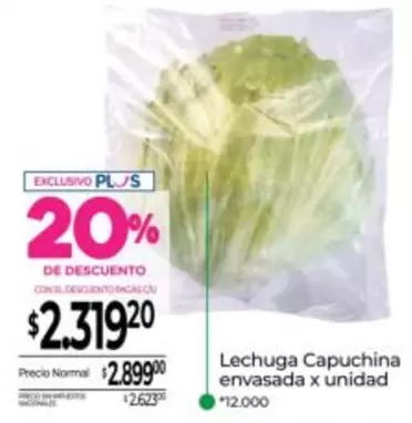 X$ - Lechuga Capuchina