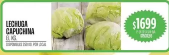 LECHUGA CAPUCHINA