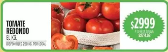 Redondo - TOMATE REDONDO
