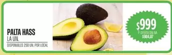 PALTA HASS