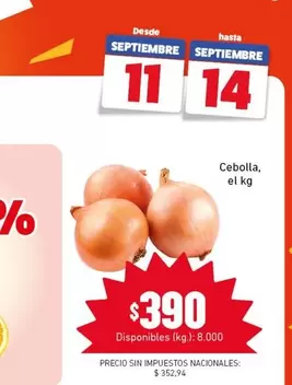 Cebolla