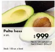 X$ - Palta hass