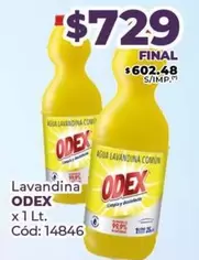 odex - Lavandina