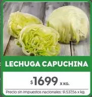 X$ - LECHUGA CAPUCHINA