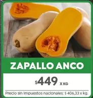X$ - ZAPALLO ANCO
