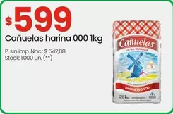 cañuelas - harina 000 1kg