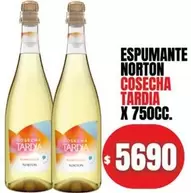Norton - COSECHA TARDIA