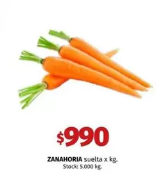 X$ - ZANAHORIA