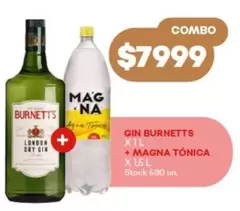 X$ - GIN + MAGNA TÓNICA