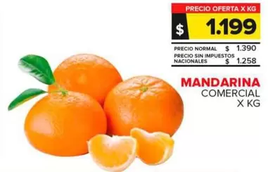 Mandarina Comercial