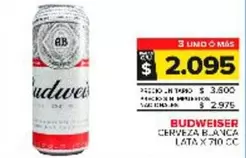 Budweiser - Cerveza Blanca