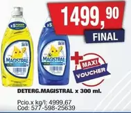 Magistral - DETERG.MAGISTRAL