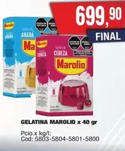 Marolio - GELATINA x 40 gr