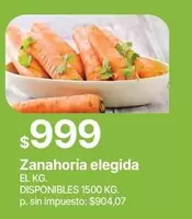 Zanahoria elegida