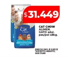 CAT -  CHOW