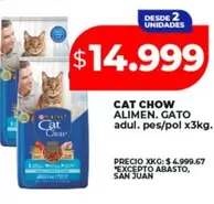CAT -  CHOW