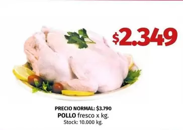 X$ - POLLO