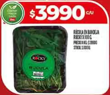 RUCULA EN BANDEJA
