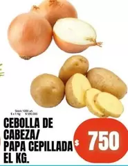 CEBOLLA DE CABEZA/ PAPA CEPILLADA