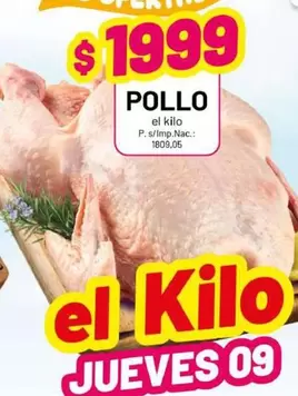 POLLO
