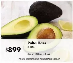 X$ - Palta Hass