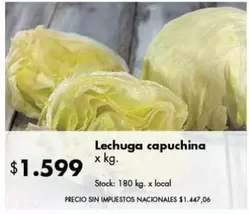 X$ - Lechuga capuchina