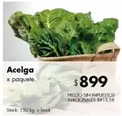 X$ - Acelga