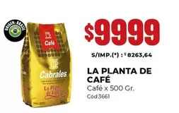 Cabrales - LA PLANTA DE CAFÉ