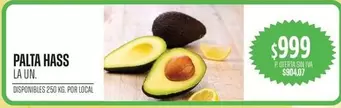PALTA HASS