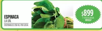 ESPINACA