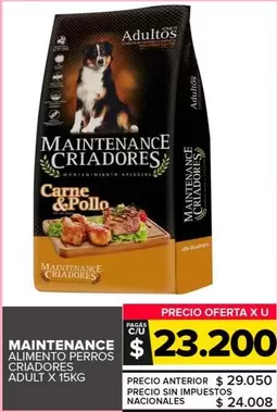 Maintenance - Alimento Perros Criadores