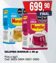 Marolio - GELATINA MAROLIO x 40 gr