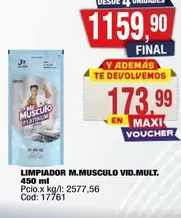 Platinum - LIMPIADOR VID.MULT.