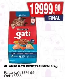 Purina - GATI PESCYSALMON