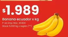 X$ - Banana ecuador x kg