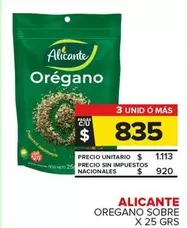 Alicante - Orégano