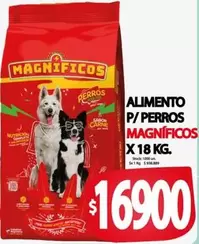 X$ - Alimento P/ Perros