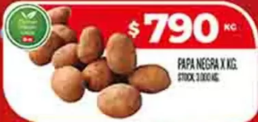 X$ - PAPA NEGRA X KG