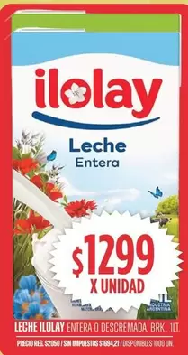 Ilolay - Leche Entera o Descremada