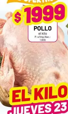 POLLO