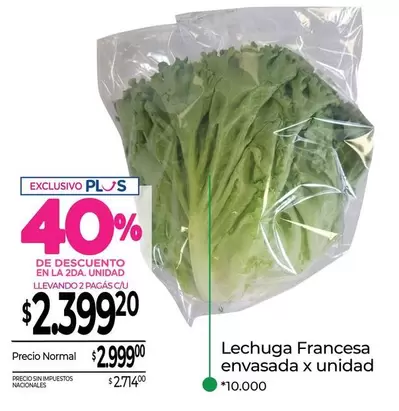 X$ - Lechuga Francesa