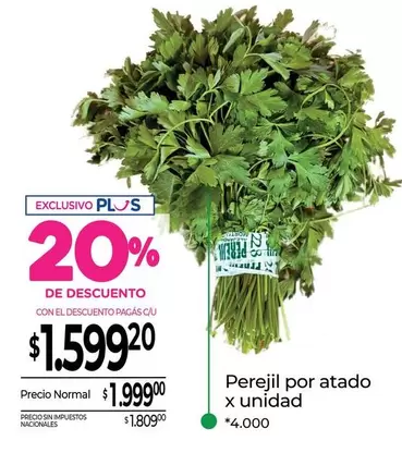 X$ - Perejil por atado