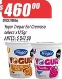 Tregar - Yogur Ent Cremoso