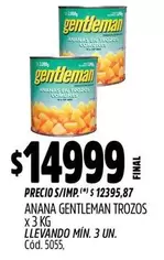 Gentleman - ANANA TROZOS