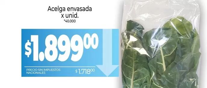 X$ - Acelga envasada