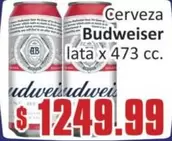 Budweiser - Cerveza