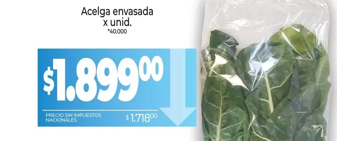 X$ - Acelga envasada