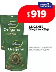 Alicante - Oregano